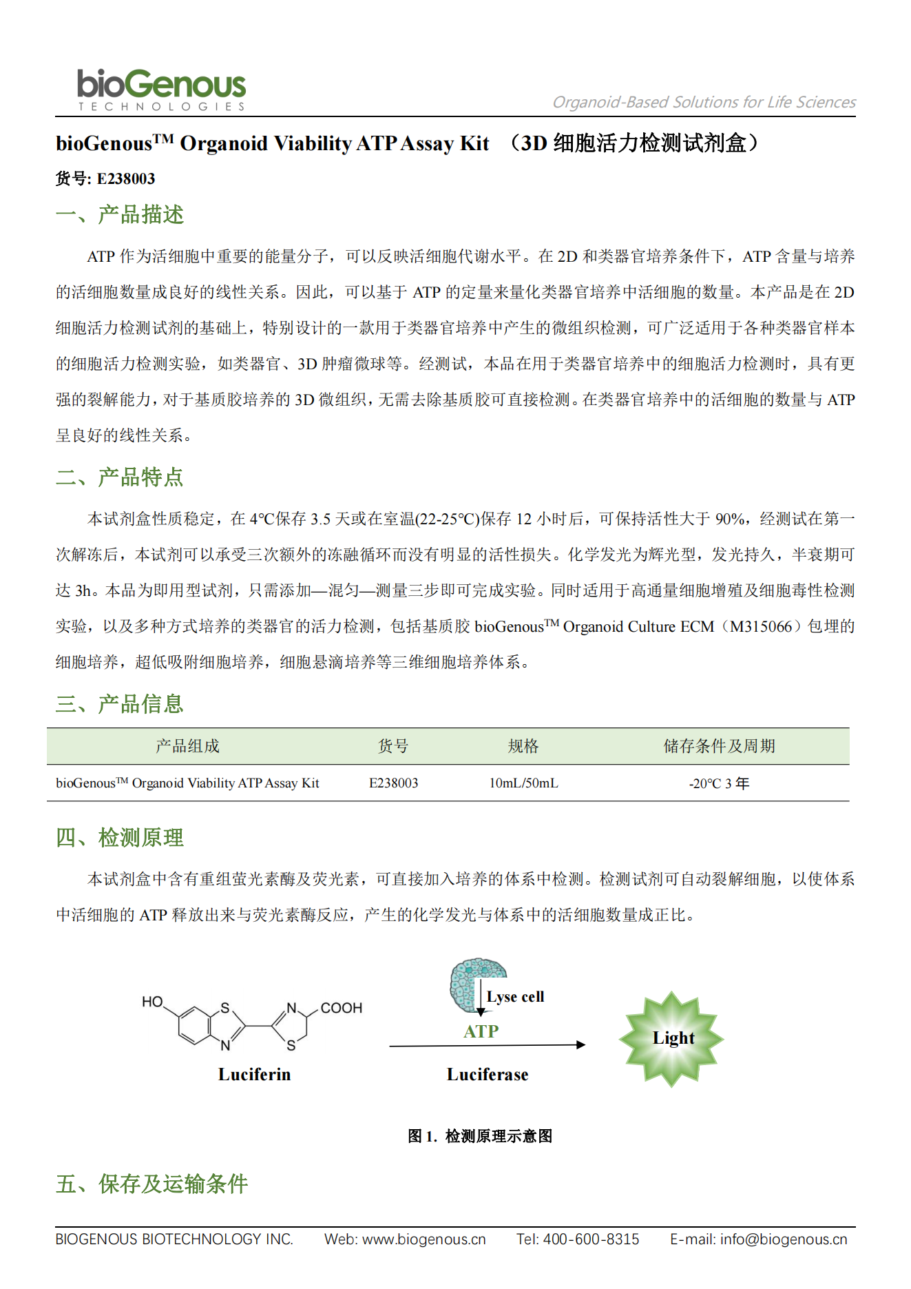 bioGenousTM Organoid Viability ATP Assay Kit(E238003)_00.png