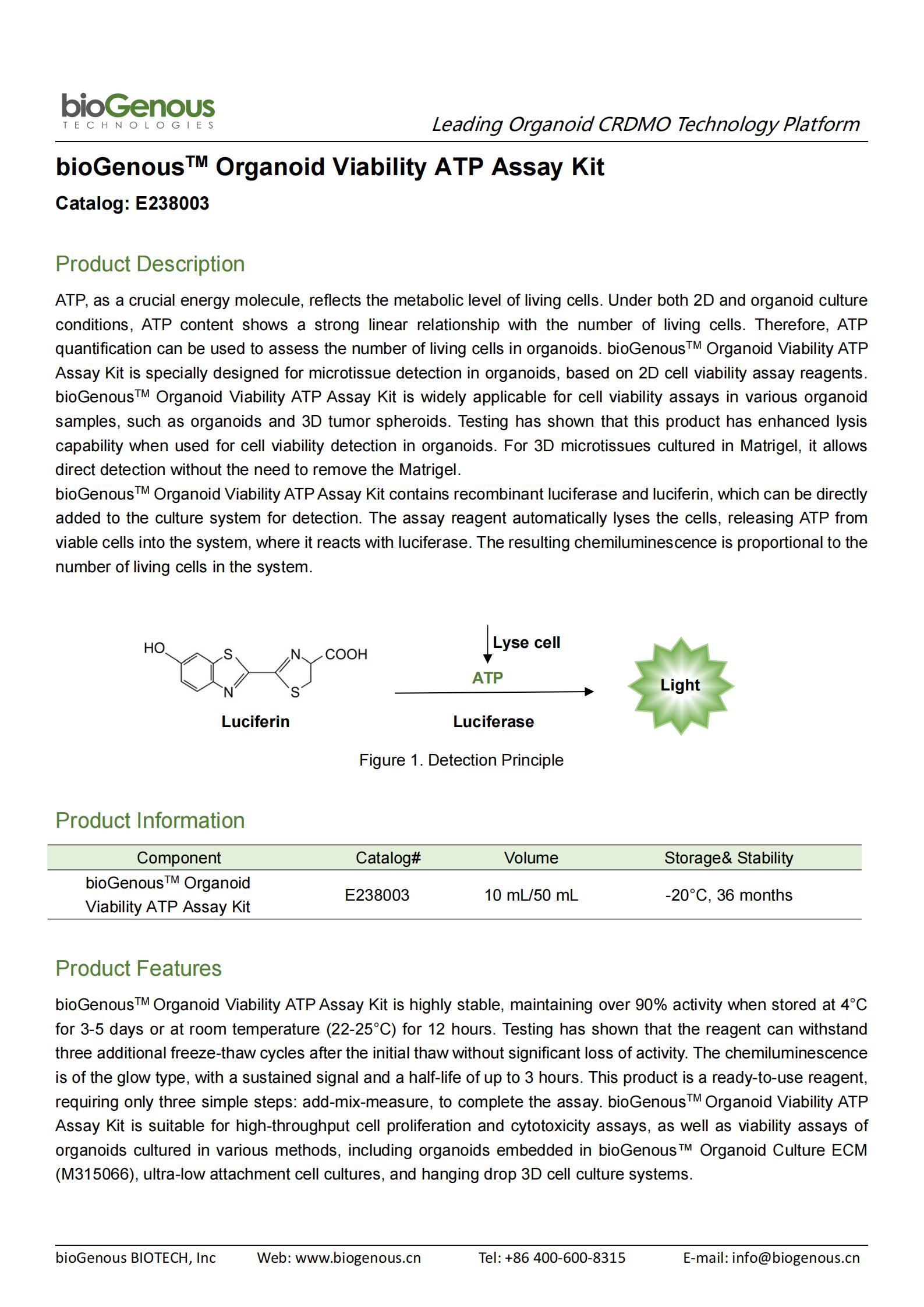 bioGenousTM Organoid Viability ATP Assay Kit E238003_00.jpg